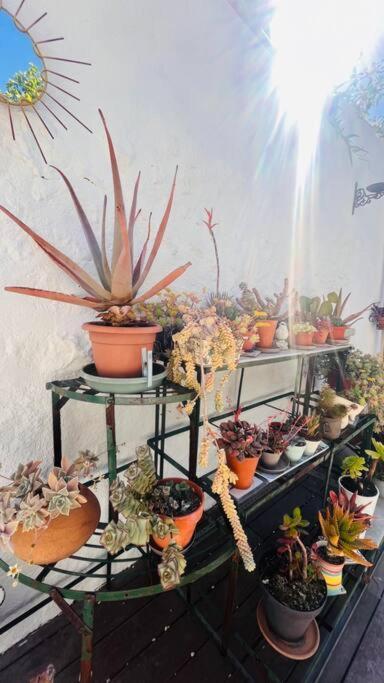Le Jardin Du Roucas Appartement Marseilles Buitenkant foto