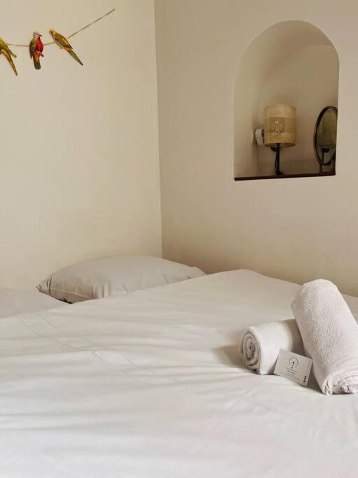 Le Jardin Du Roucas Appartement Marseilles Buitenkant foto